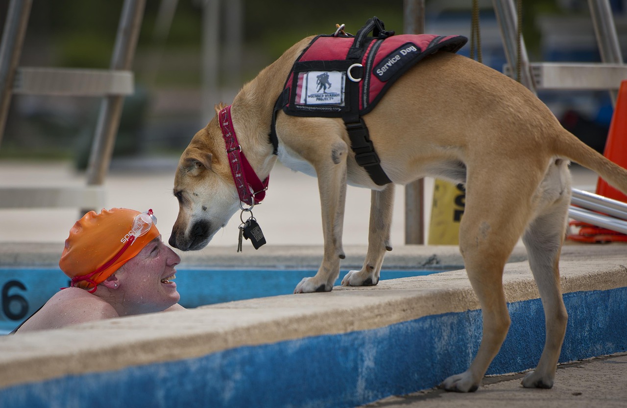 Spring Seminar: Service Animals and the Americans with Disabilities Act